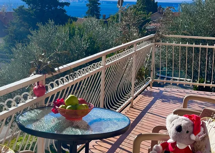 Koala 3